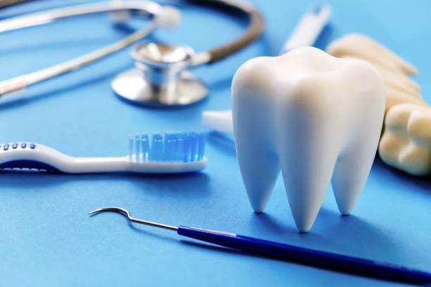 Professional  Dental Services in Sale Creek, TN